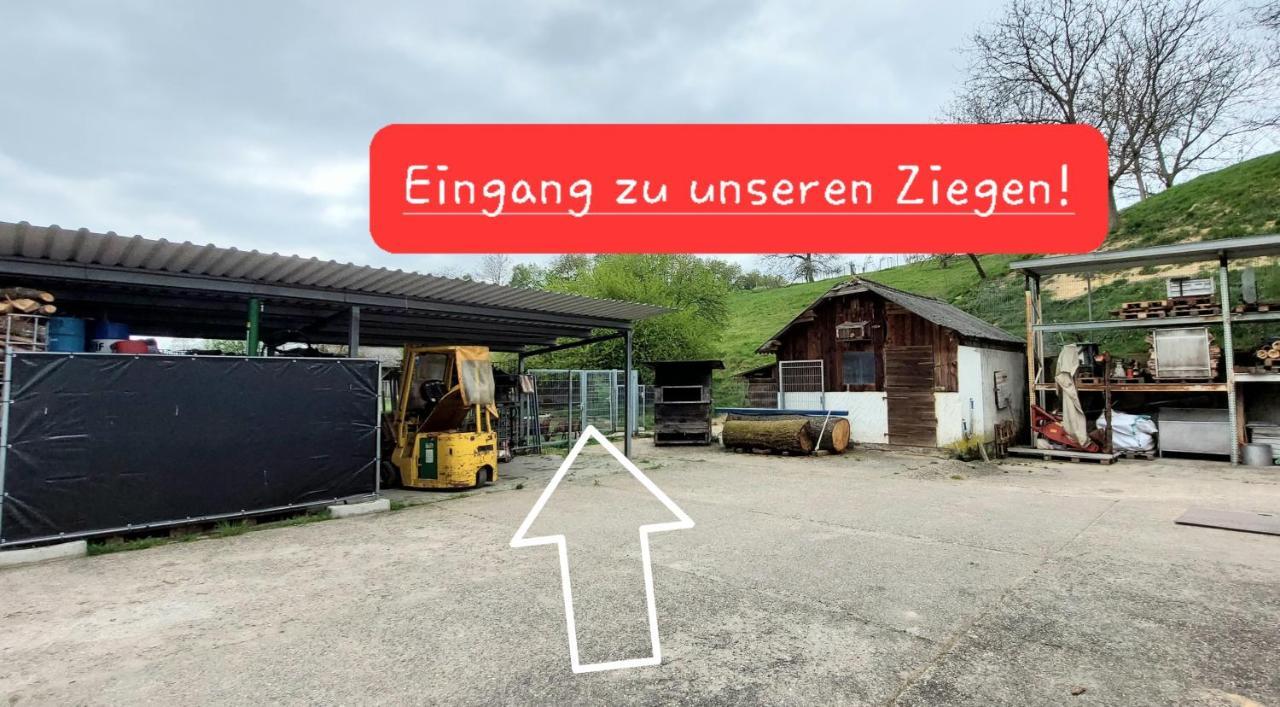 Ferienwohnung/Monteurzimmer Auf Dem Bauernhof Moerlenbach Exterior photo