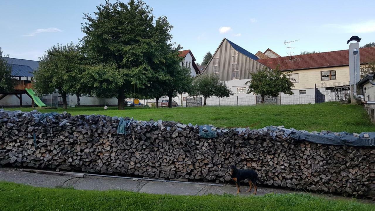 Ferienwohnung/Monteurzimmer Auf Dem Bauernhof Moerlenbach Exterior photo