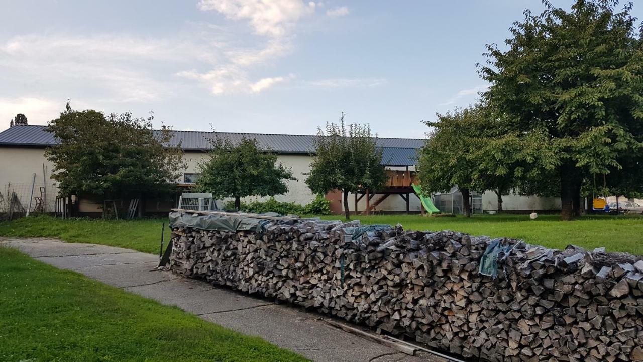 Ferienwohnung/Monteurzimmer Auf Dem Bauernhof Moerlenbach Exterior photo